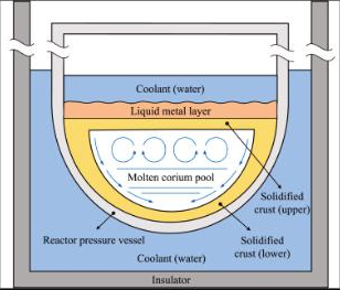 Numerical study on Prandtl number dependence of thermal convection in an internally heated pool